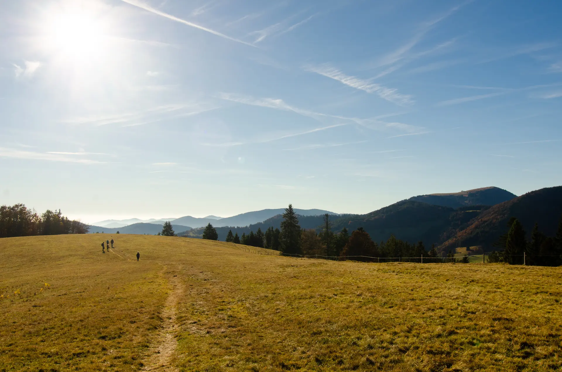 Ferienwohnung im Schwarzwald
