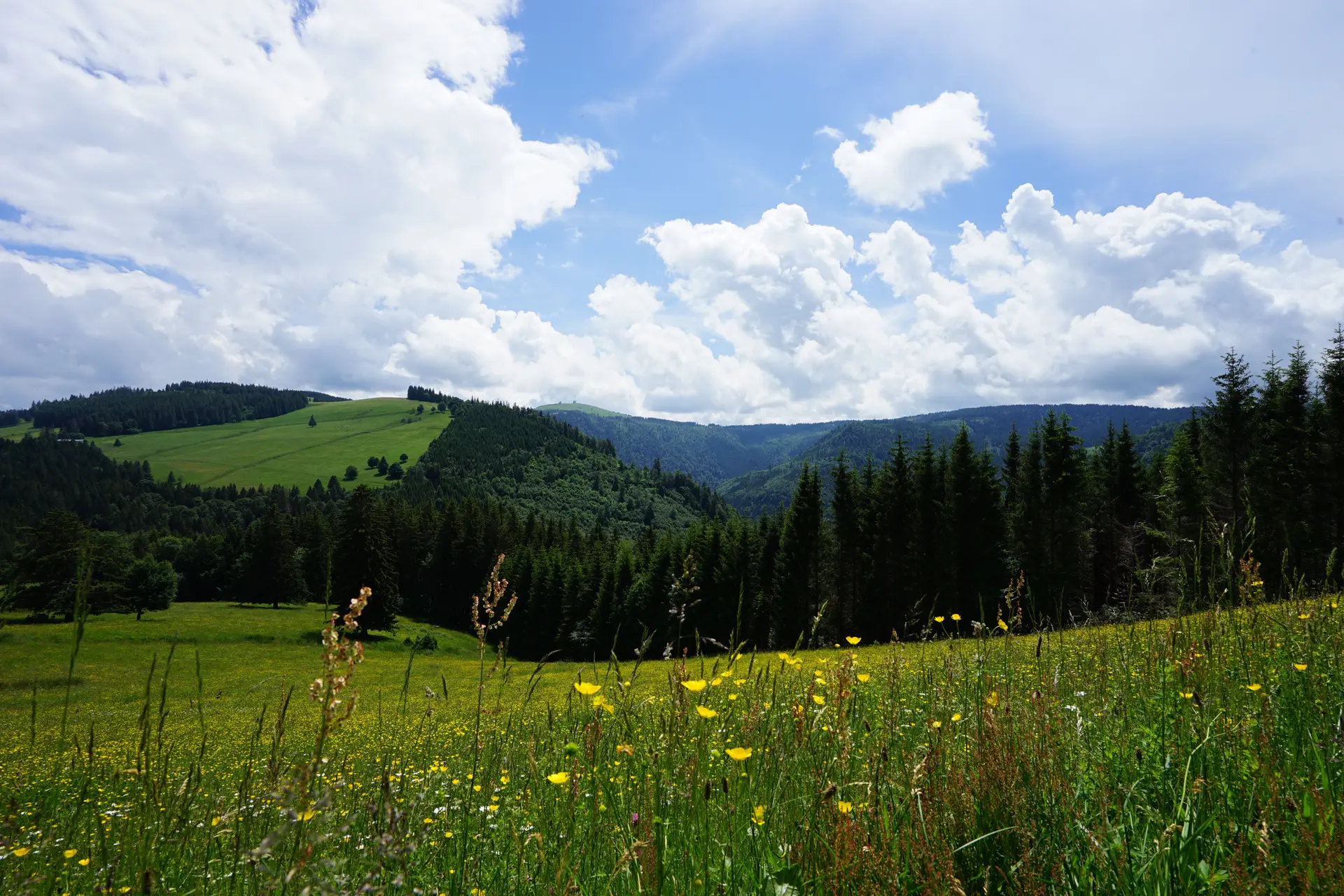 Ferienwohnung im Schwarzwald